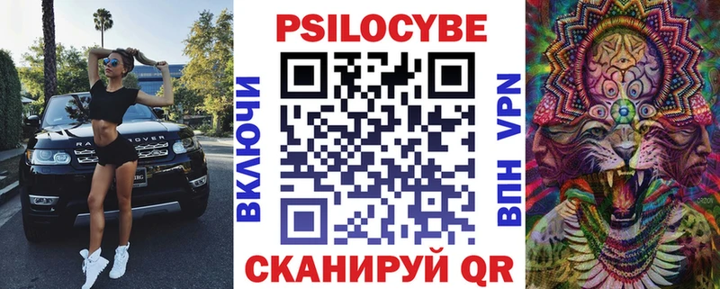 Псилоцибиновые грибы мухоморы  купить наркотик  Краснослободск 